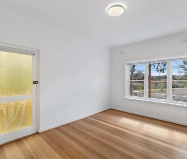 Park Views & Light Filled! - Photo 4