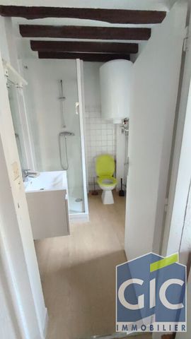 Location Appartement 1 pièce 27m² - Photo 3