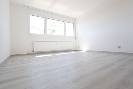 Luminoso 2.5 locali APPENA RISTRUTTURATO a Coldrerio - Photo 2