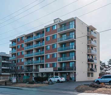 1 Bedroom - Photo 3