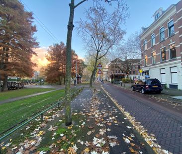 Noordsingel, 3032 BH, Rotterdam - Foto 6