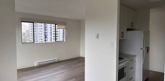 2-Bedroom Fully Renovated close to SkyTrain (Lougheed) - Photo 2