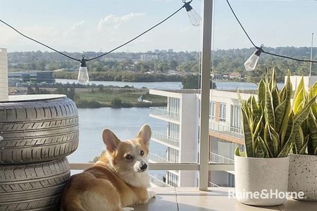 Stunning Studio Waterfront Apartment - Timber Floors & Balcony - Photo 5