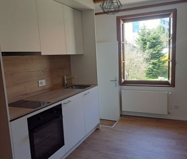 Magnifique appartement tout rénové au centre-ville - Photo 3