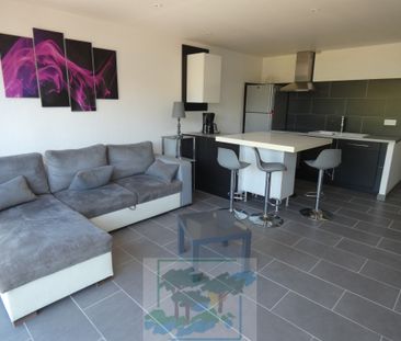 Location Appartement 3 pièces 53m² ST CYPRIEN 66750 - Photo 3