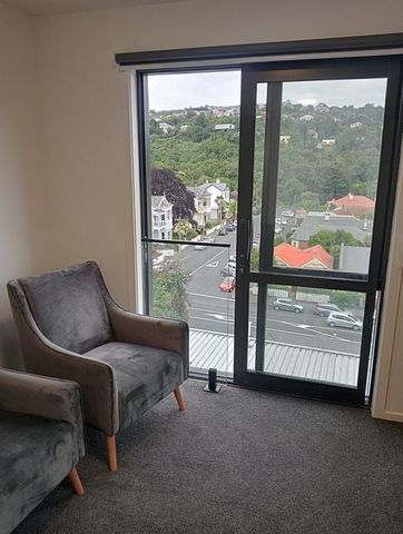 Stunning New Studio Rooms in North Dunedin - Photo 2