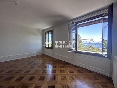 Appartement de charme - entièrement rénové - dans l'hypercentre avec vue jet d'eau - Photo 3