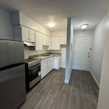 PET FRIENDLY Bachelor With Private Balcony in Downtown Vancouver - Photo 3