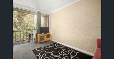 Close to the Action!! - Photo 2