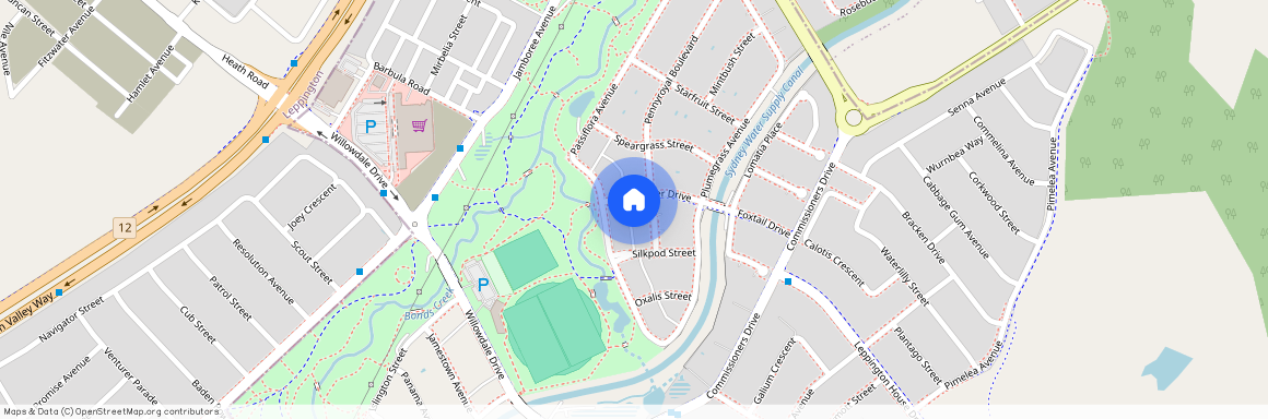 4A Riceflower Drive, NSW 2565, Denham Court