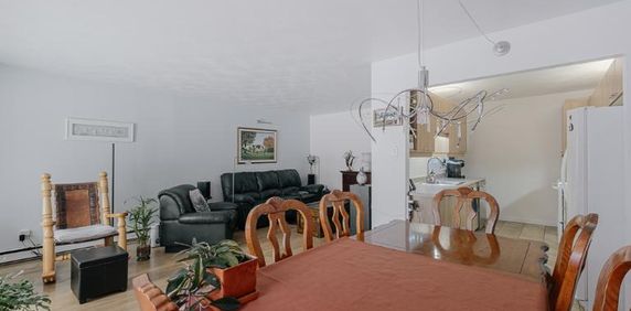 Appartement 5 ½ à louer Sainte-Foy / Sillery décembre 2025 - Photo 2