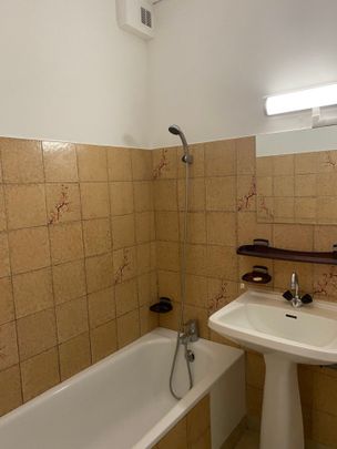 Location Appartement 3 pièces 48m² LES VANS 07140 - Photo 1