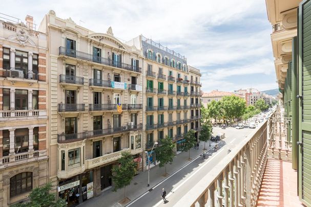 Nice room in Barcelona - Photo 1