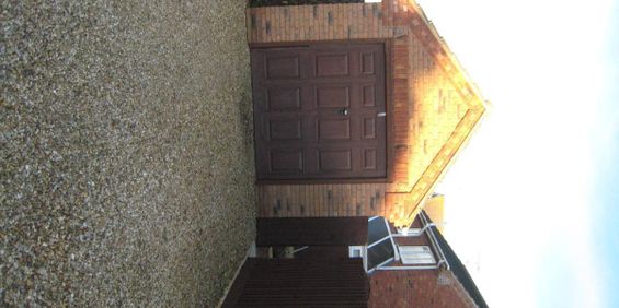 Tulip Fields - Photo 3