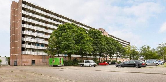 Nederlandplein, 5628 AJ Eindhoven, Nederland - Photo 2
