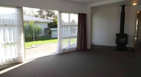 Birkenhead Crescent, Flaxmere - Photo 3