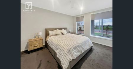 Modern Family Living in Windsor Park Estate - Photo 3