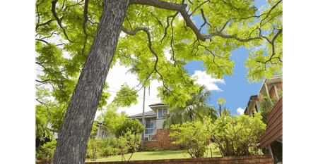 Beautifully Presented Family Home in Sought-After Moorooka - Photo 5