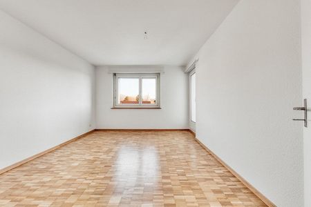 Leben neben der Schüssinsel - Vivre près de l'île de la Suze - Foto 4