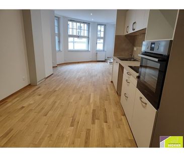 location Appartement 7 pièces à Colmar - REF 1447-IB - Photo 2