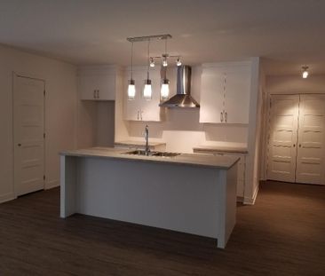 GRAND 4 1/2 ASCENSEUR, GARAGE INTÉRIEUR - Photo 4