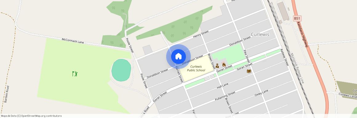 56-58 Donaldson Street, NSW 2381, Curlewis