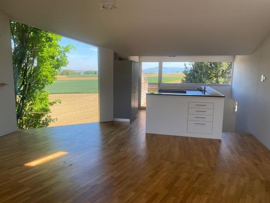 3.5 Zimmer, 105 m², 1. Stock - Photo 1