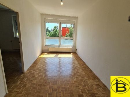 15406 Sonnige 3-Zimmer Wohnung in Gänserndorf - Photo 2