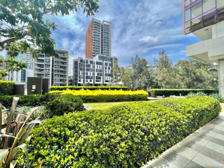 Modern 1 bedroom plus study apartment located in the heart of Zetland area. - Photo 2