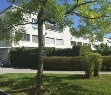 Your new home - Photo 5