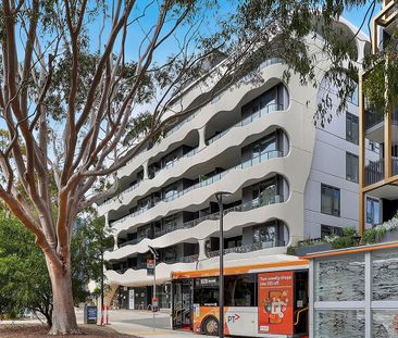 Level 406D/18 Koolkuna Lane, Hampton VIC 3188 - Apartment For Rent ... - Photo 1