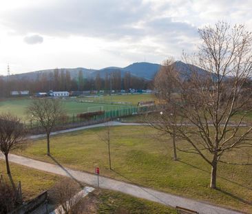 PARKBLICK! SCHÖNE 2-ZIMMER-WOHNUNG + GROSSER TERRASSE - Photo 2