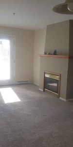 2 Bed 1 bath in Esquimalt Village - Photo 3