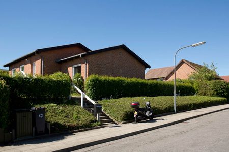 Clematisvej m. fl. - Foto 2