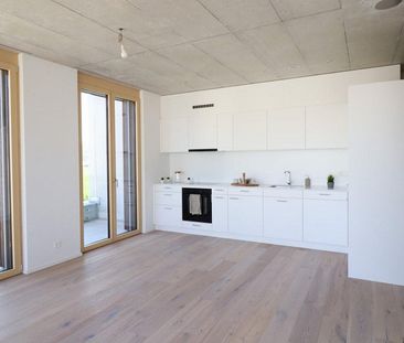 Moderne 2,5 Zimmerwohnung zu vermieten - Photo 3
