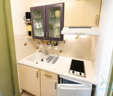Location Appartement 1 pièce 22m² HYERES 83400 - Photo 3
