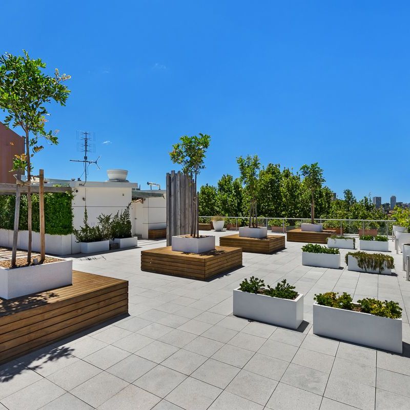 19/91-93 Macleay Street, Potts Point NSW 2011 - Studio For Rent | Domain - Photo 1