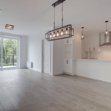 Charmant Appartement 4 1/2 à louer - Sherbrooke | Ascenseur et internet inclus - Photo 3