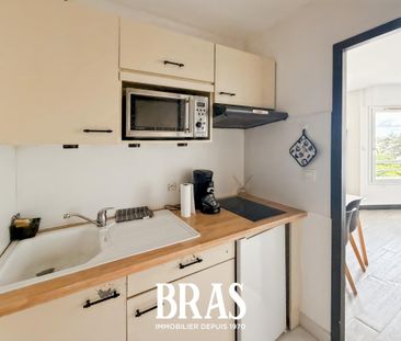 Location Appartement 1 pièce Meublé 28m² VANNES 56000 - Photo 4