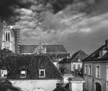 Location Appartement 2 pièces 29m² SENS 89100 - Photo 3