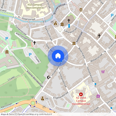 Egide Alenusstraat 19 / 2, 3290 Diest