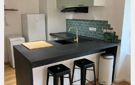 Location Appartement P1 Nantes - Photo 5