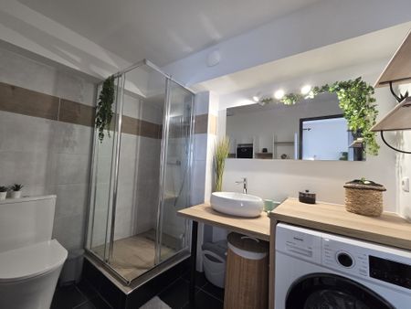 Location Appartement 1 pièce 34m² ST DENIS 97490 - Photo 5