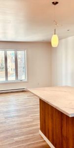 🏡 À louer – Rez de chaussée de duplex à Saint-Donat 🌲 - Photo 3