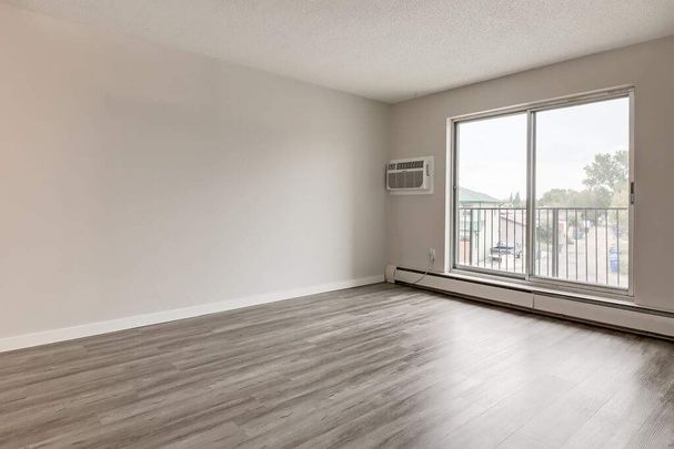Renovated Suite - 2 Bedroom - Photo 1