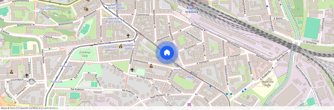 Nuselská, Praha - Nusle