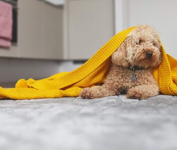 N01 Townhouses, E20 1FJ, London - Photo 5