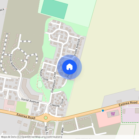 Violet Avenue, Peterborough