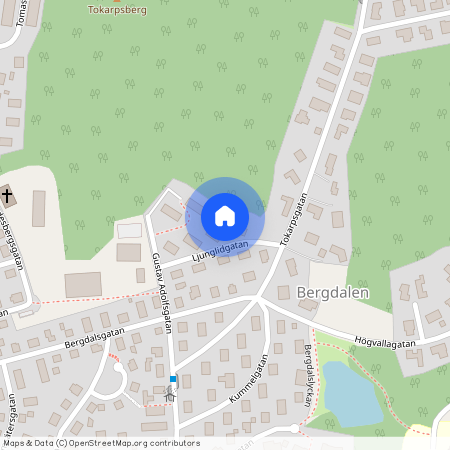 Borås, Ljunglidsgatan, 7, 50458