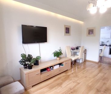 Wynajem 1 pok mieszk. z osobną kuchnią, Pomorzany - Zdjęcie 2